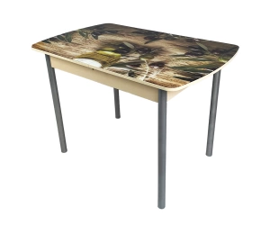 Стол Диамант М50 с фотопечатью, 750*1100(1400)*680, стекло/ЛДСП, раздвижной